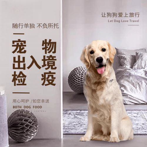 内蒙古自治区宠物托运到哥伦比亚猫狗宠物入境规定和