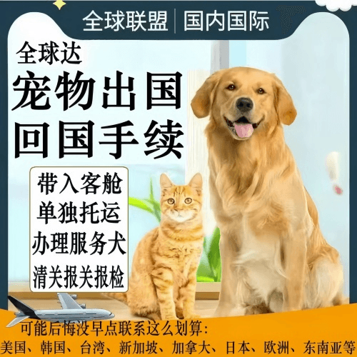 内蒙古自治区宠物托运到柬埔寨宠物入境规定和要求