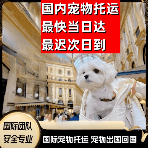 内蒙古自治区到澳大利亚（澳洲）宠物入境规定和要求