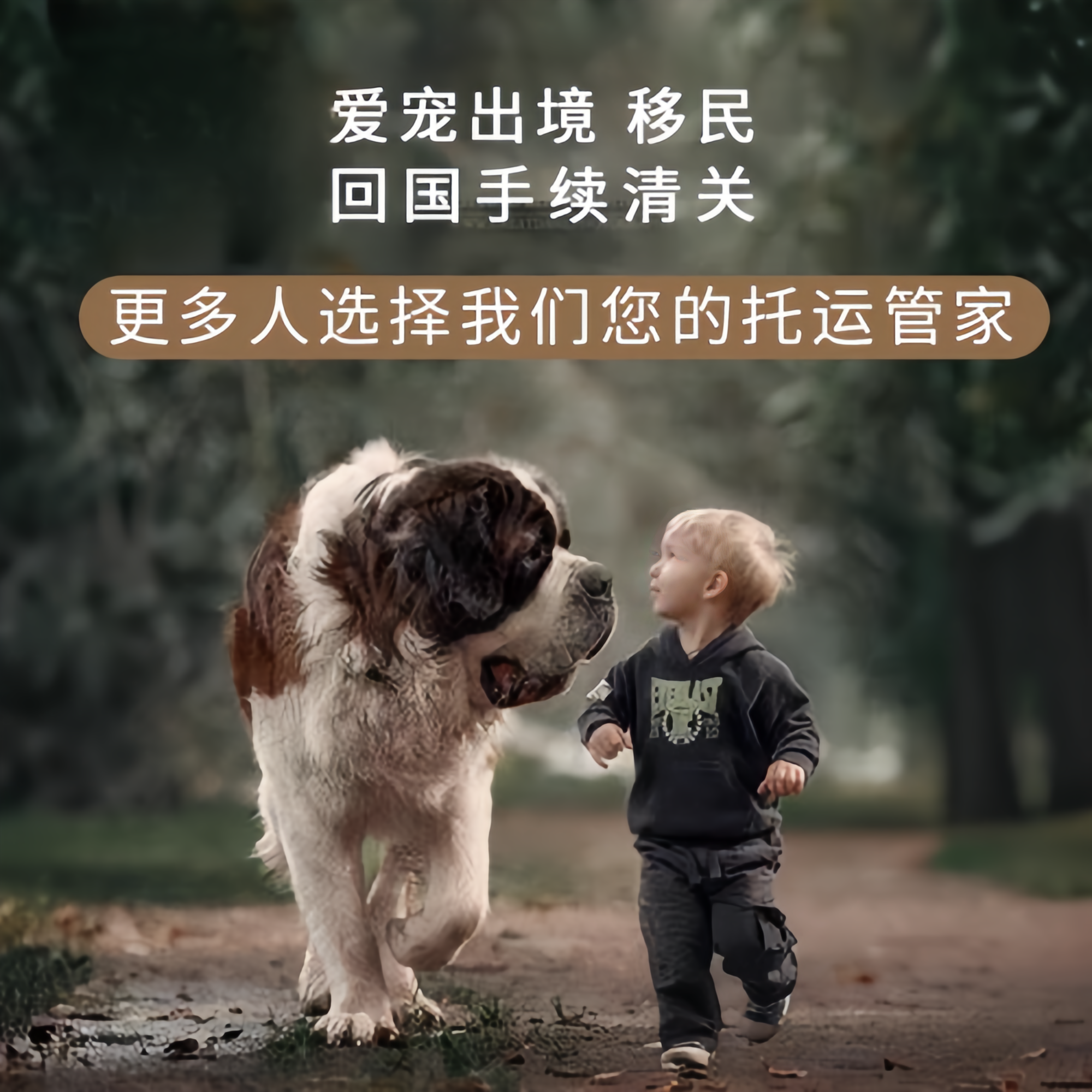 满财内蒙古自治区宠物全球达宠物托运在遵守入境目的地政策的条件