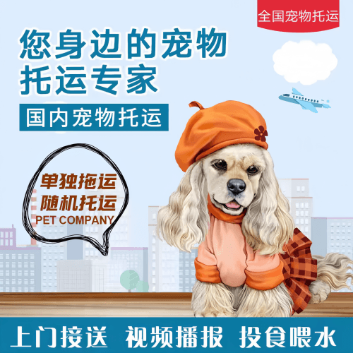 满财内蒙古自治区宠物全球达宠物托运作为专业的宠物运输代理机构